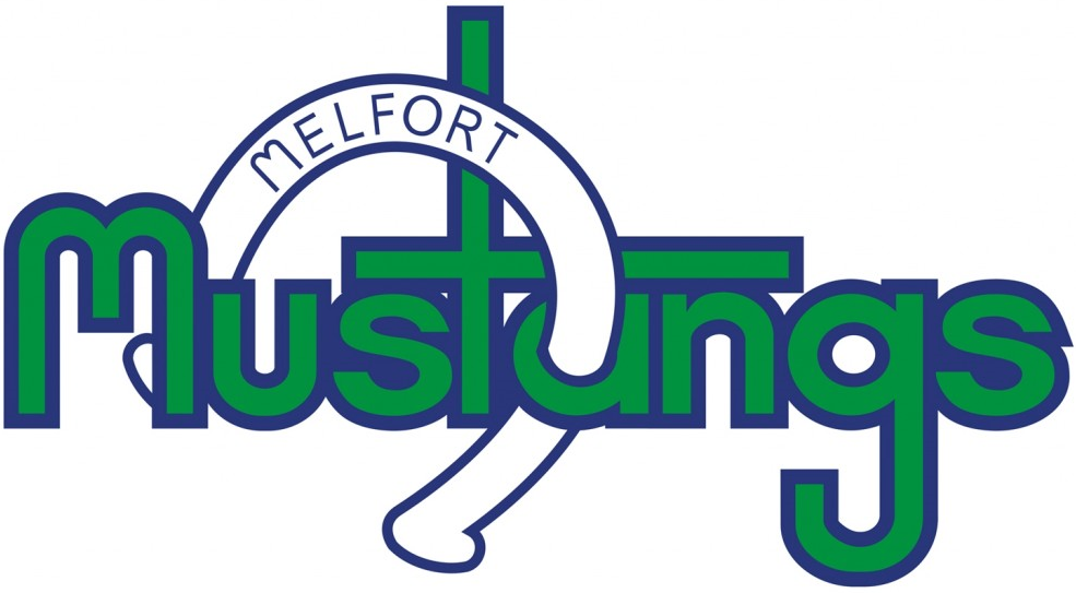 Melfort Mustangs 2016-Pres Primary Logo iron on transfers for T-shirts